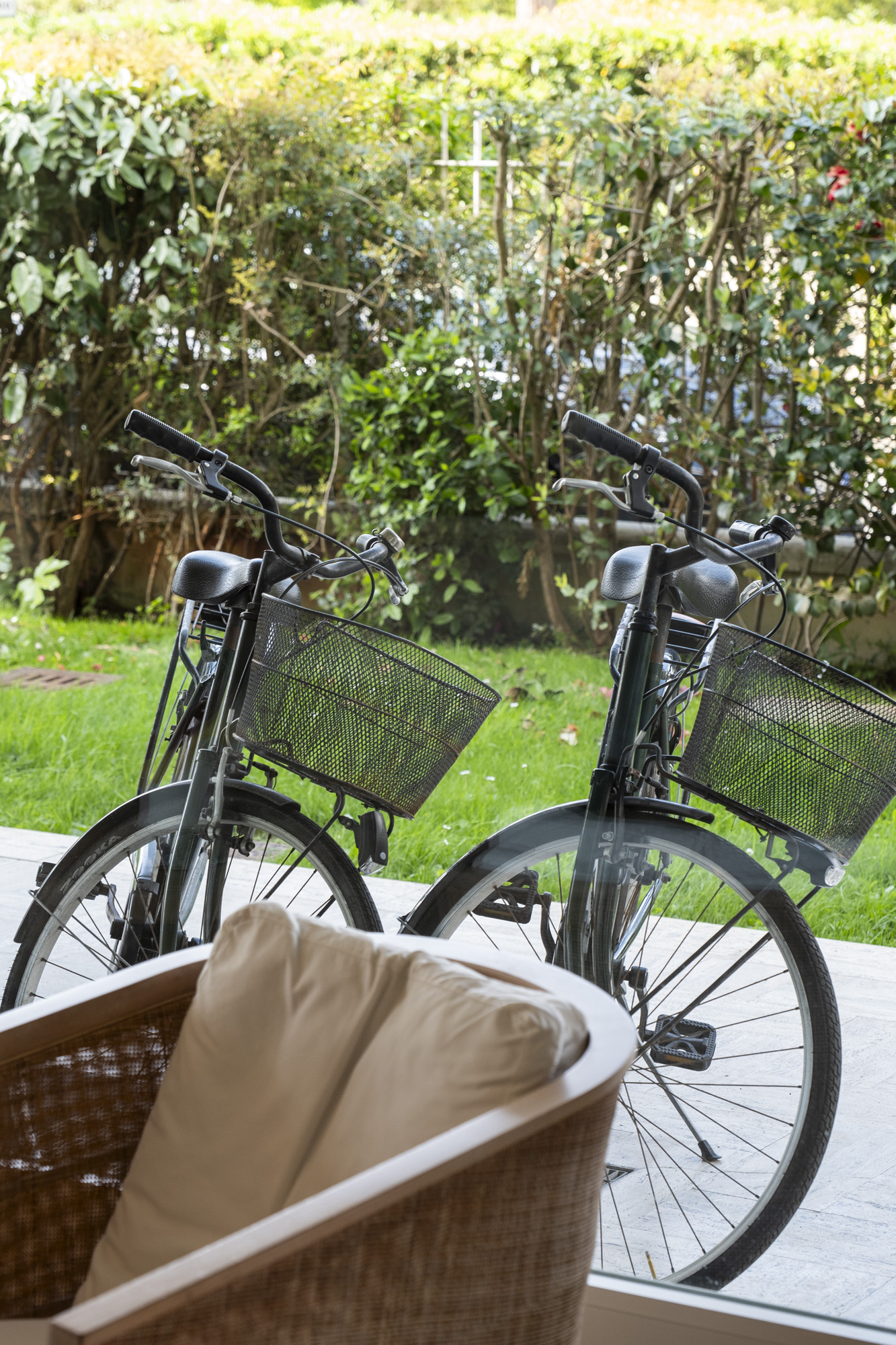 Biciclette a noleggio nel giardino