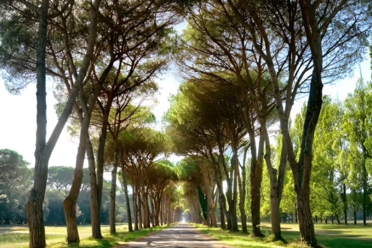 Parco Naturale San Rossore